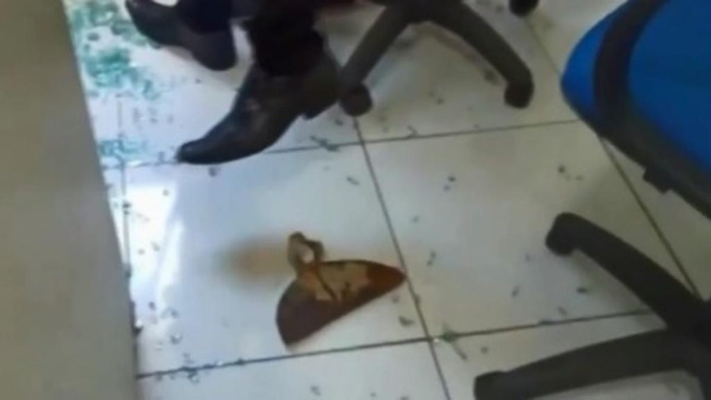 Homem arremessa enxada contra prefeito durante cerimônia de posse em cidade da Bahia