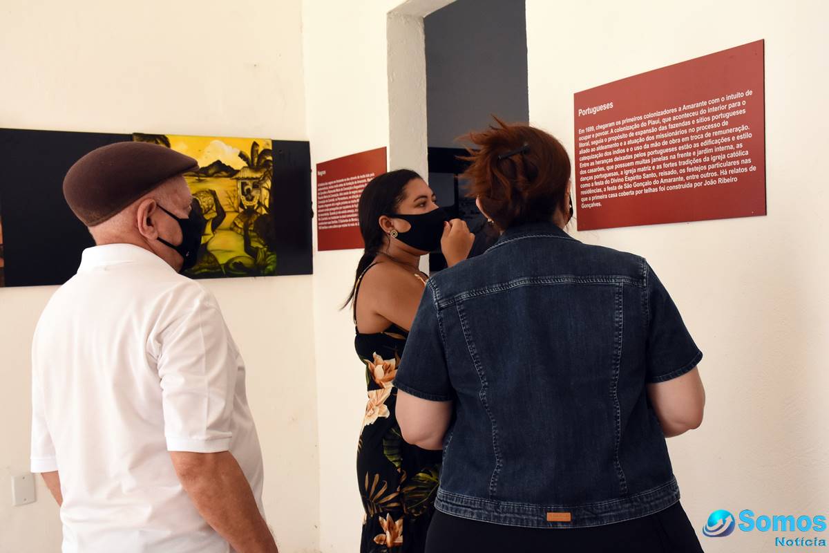 Conheça o Museu Casas de Amarante, Tour pelas Estações, Preservação da Memória Cultural e Histórica, Casarões Históricos, Programa VivAmar