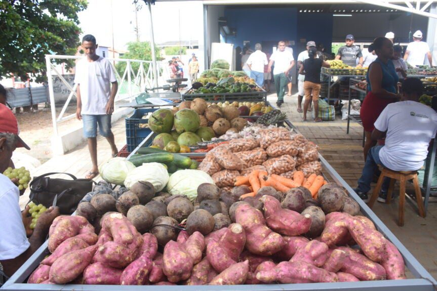 Mercado do Produtor de Amarante é inaugurado com homenagens e música ao vivo