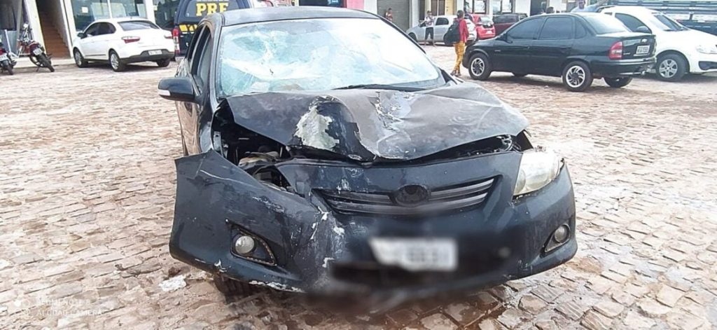 WhatsApp Image 2023 03 18 at 08.43.32