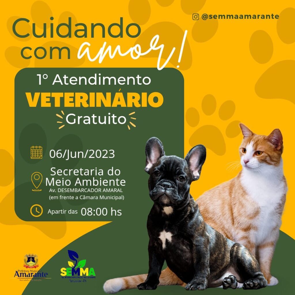 Amarante oferece 1º atendimento clínico veterinário...