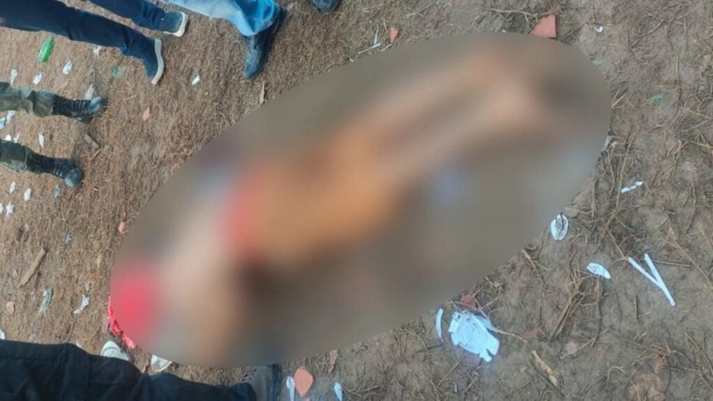 Assassinato em palmeirais