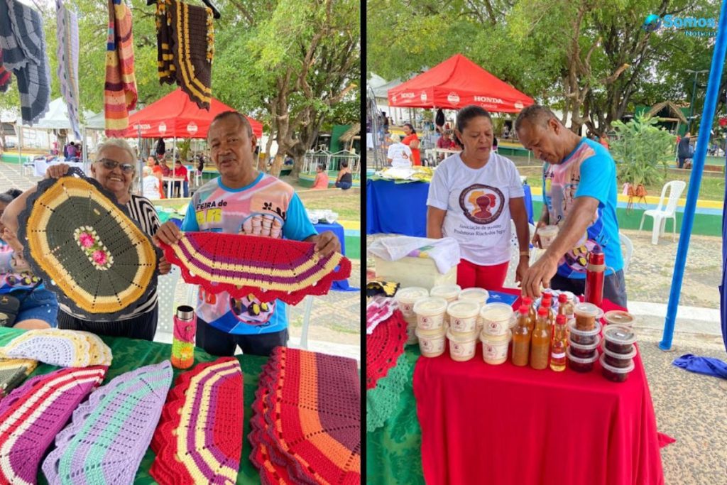 feira do artesanato de palmeirais