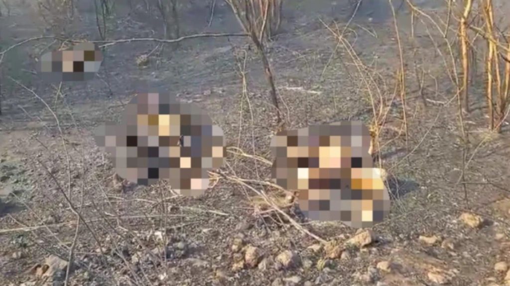 filho com deficiencia esta entre as vitimas de incendio em Canto do Buriti