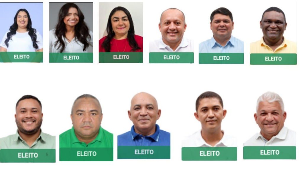 Cenário político na Câmara de Vereadores de Amarante após as Eleições Municipais de 2024