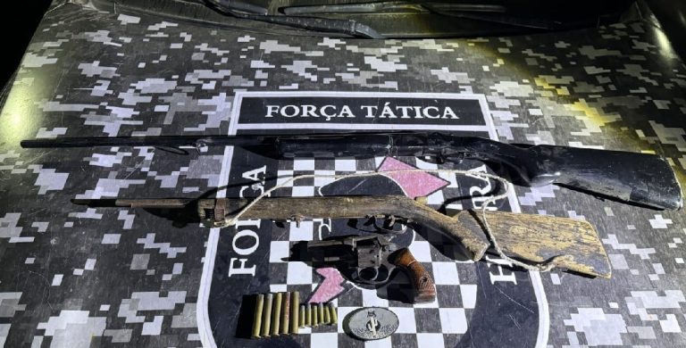Três armas de fogo são apreendidas em operação policial na zona rural de Betânia do Piauí