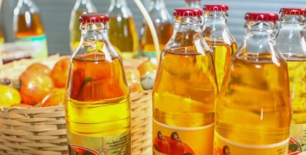 fitur 2025 cajuina do piaui