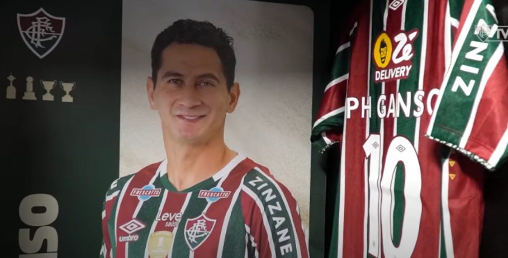 ganso e afastado das atividades por inflamacao no musculo do coracao