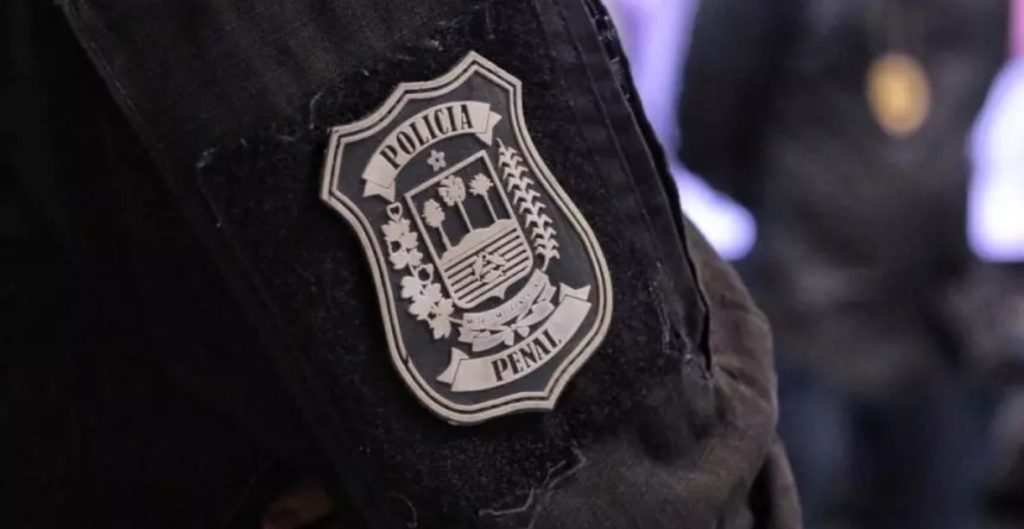 Bebê com lesão na cabeça é encontrado morto em matagal no Piauí; mãe é a principal suspeita 4 policia civil brasao