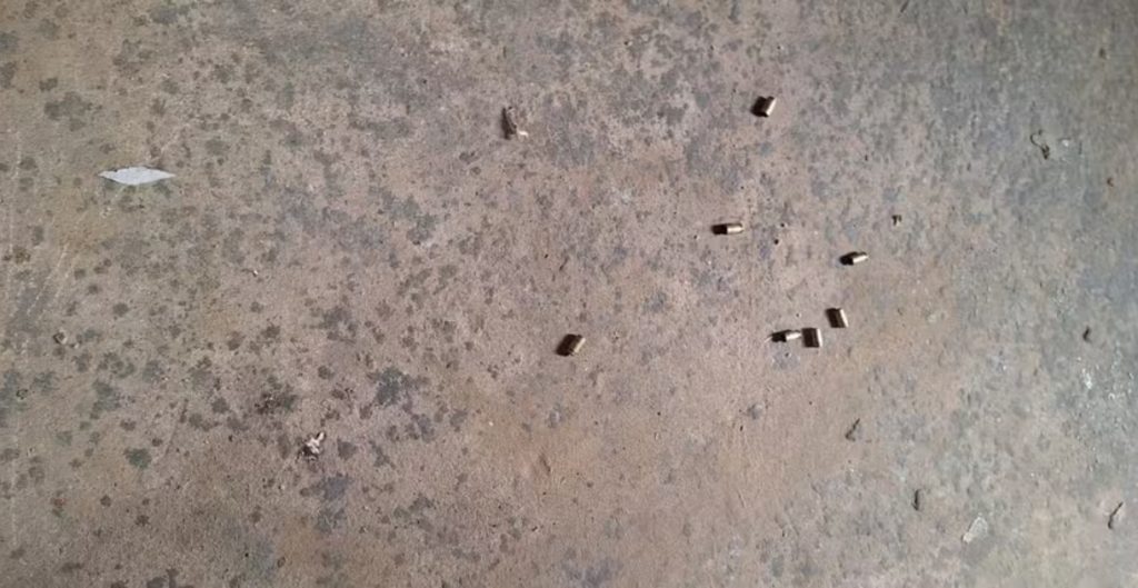 assassinato em palmeirais