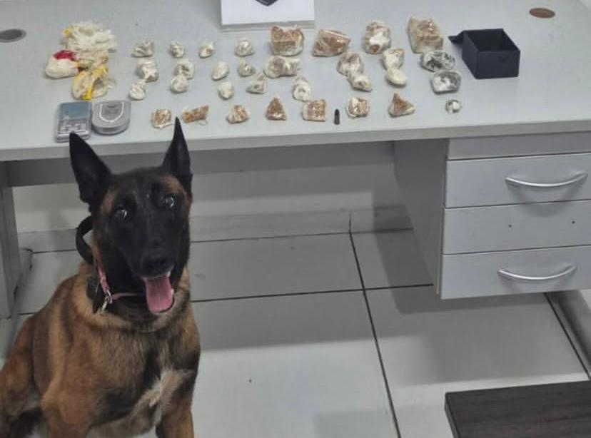 Mulher investigada pelo crime de tráfico de drogas é presa em São Luís do Maranhão 1 NA CAPITAL, MULHER É PRESA EM FLAGRANTE POR TRÁFICO DE DROGAS