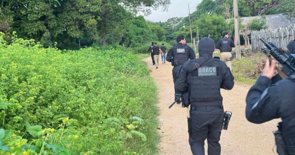 operacao em palmeirais