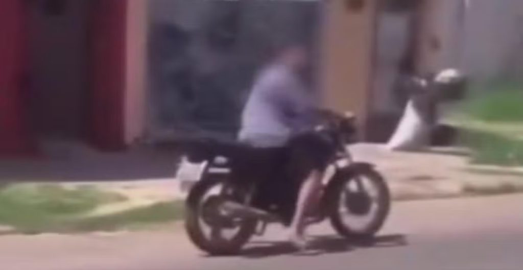 Empresária baleada Timon