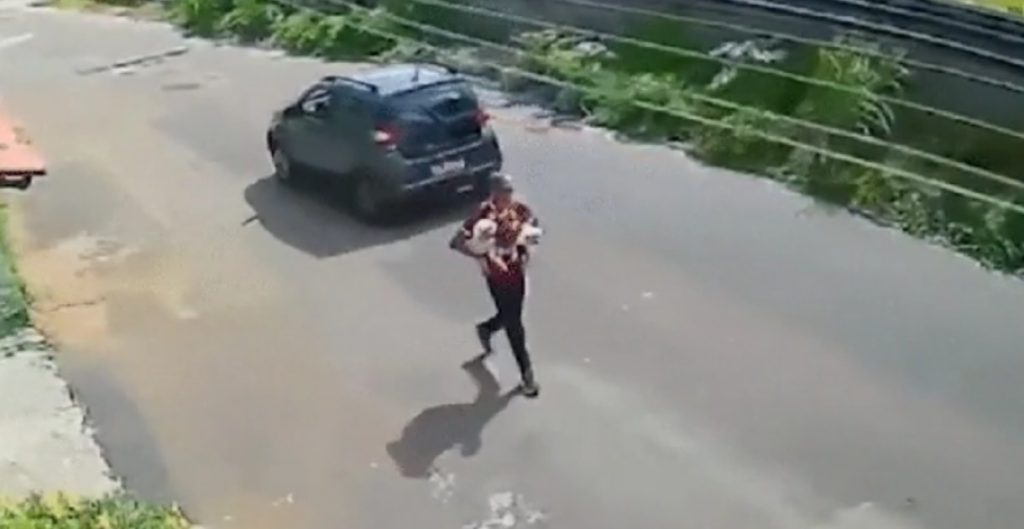 furto cães calhau são luís