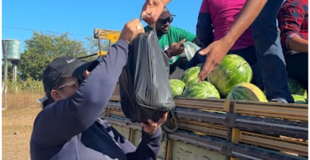 entrega de alimentos