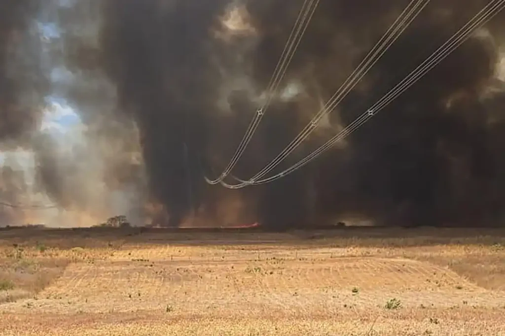 incêndio em canto do buriti brigadistas áreas de produção agrícola