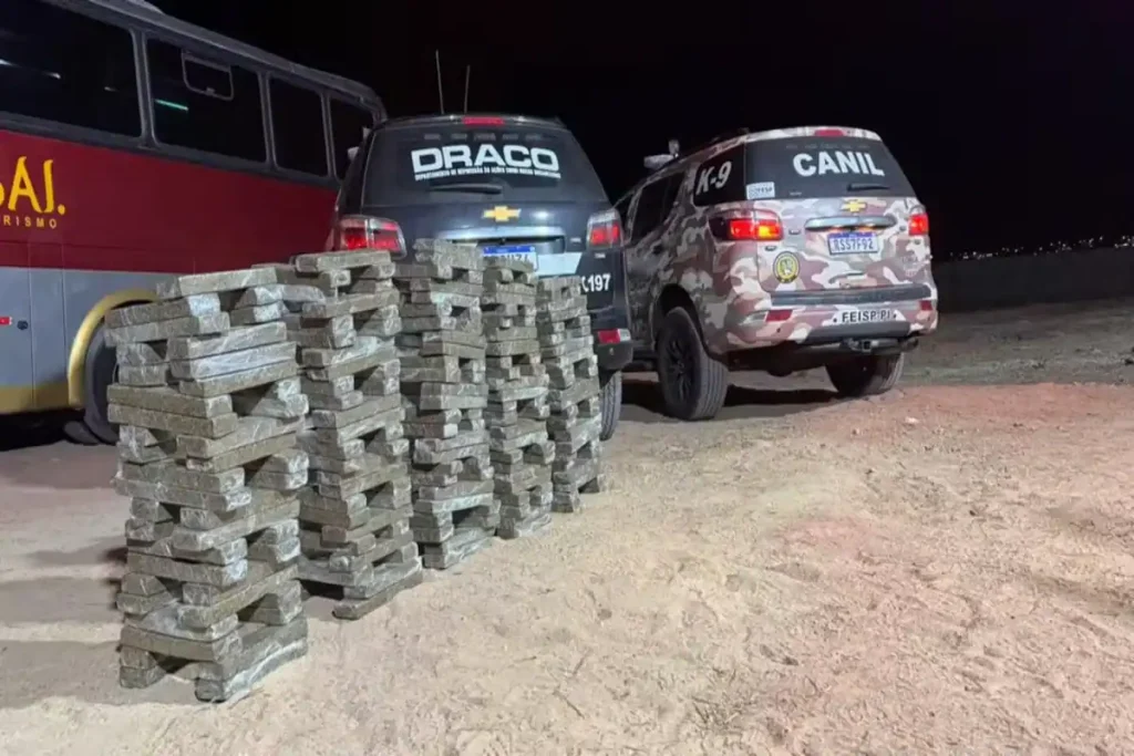 Droga skank empilhada ao lado de viaturas da Polícia Civil