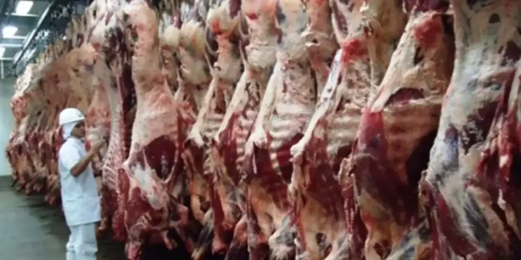 Cortes de carne bovina fresca e embalada, prontos para exportação, ilustrando o desempenho de Mato Grosso do Sul.
