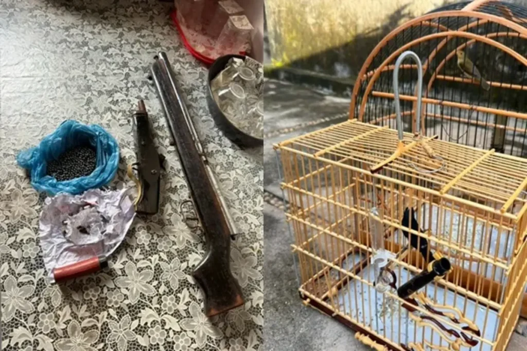 Policiais da SSP-PI em ação durante operação contra o tráfico de drogas em Demerval Lobão, com itens apreendidos como armas, dinheiro e entorpecentes.