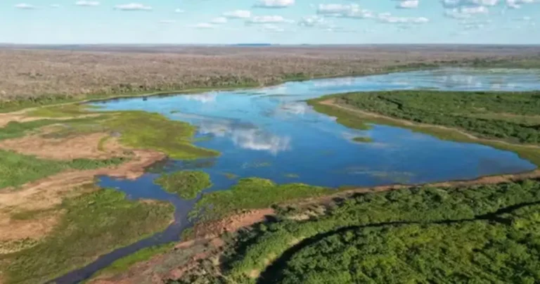 Buscas por homem que desapareceu em rio no sul do Piauí ultrapassam 27 horas