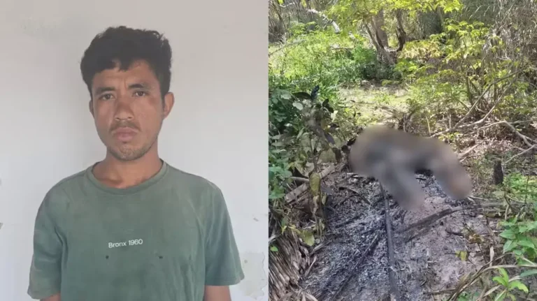 Corpo carbonizado com lesão na cabeça é encontrado em José de Freitas