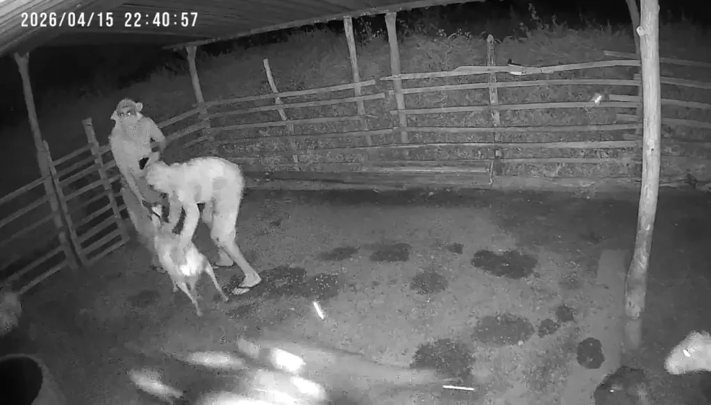 captura de imagem da câmera após gravação do crime.