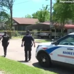 Captura de tela de 2026 04 20 08 47 03