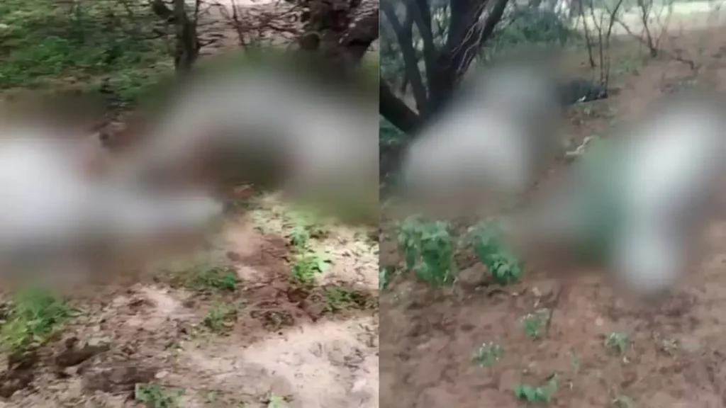 Imagem borrada de cena de crime em área de mata, mostrando o local onde corpos foram encontrados.