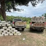 droga em sitio em timon