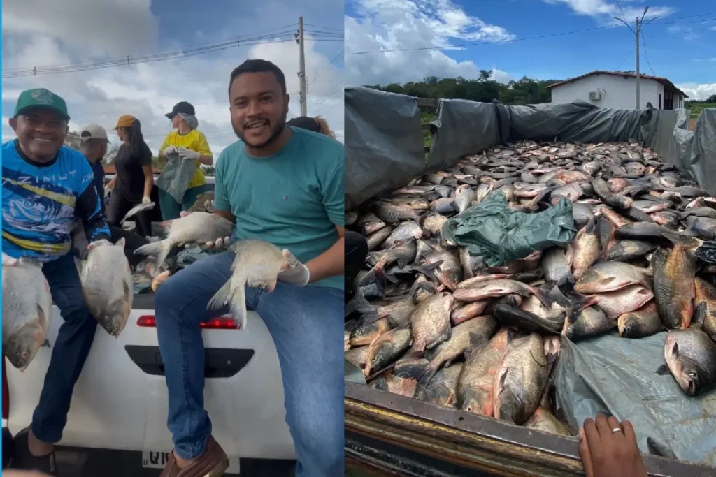 Prefeitura de Amarante distribui peixes para moradores de todos os bairros da cidade 7 secretário de assistência social de um lado e do outro peixes durante doação aos moradores