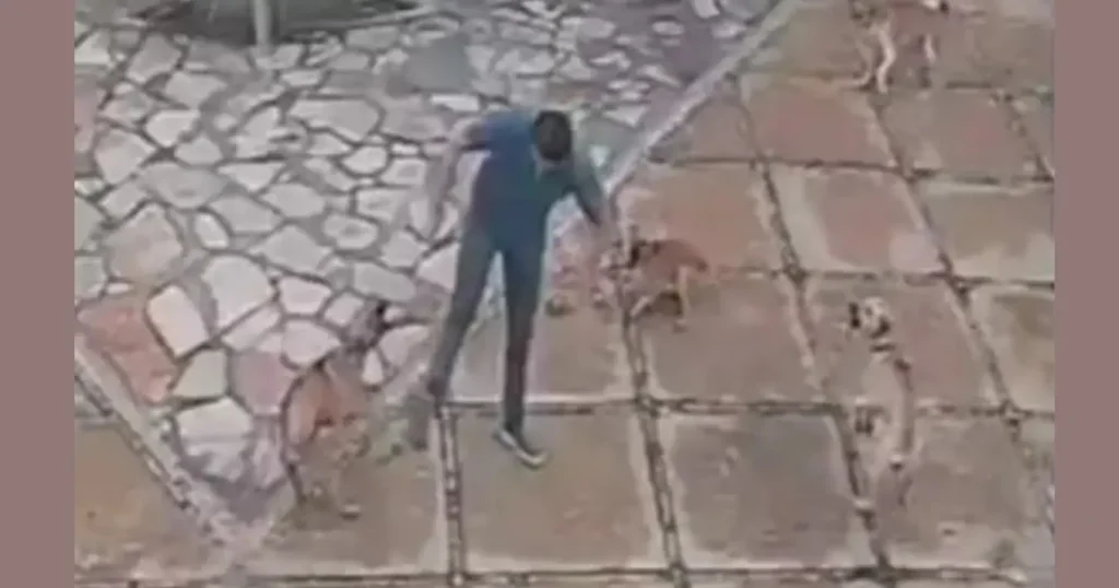 homem interagindo com cães em praça de piso de pedra; ao centro