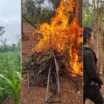 montagens 1920 x 1080 px 1 1 1