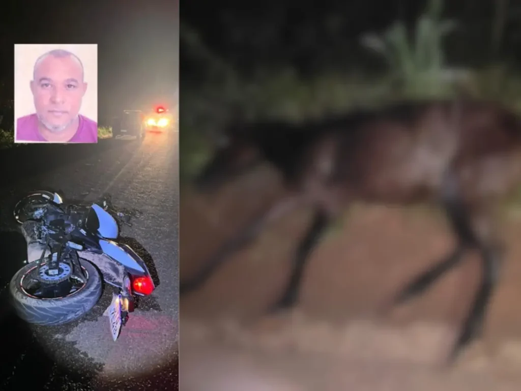 Montagem de fotos: à esquerda, moto destruída na estrada à noite e foto do motociclista; à direita, um cavalo desfocado.