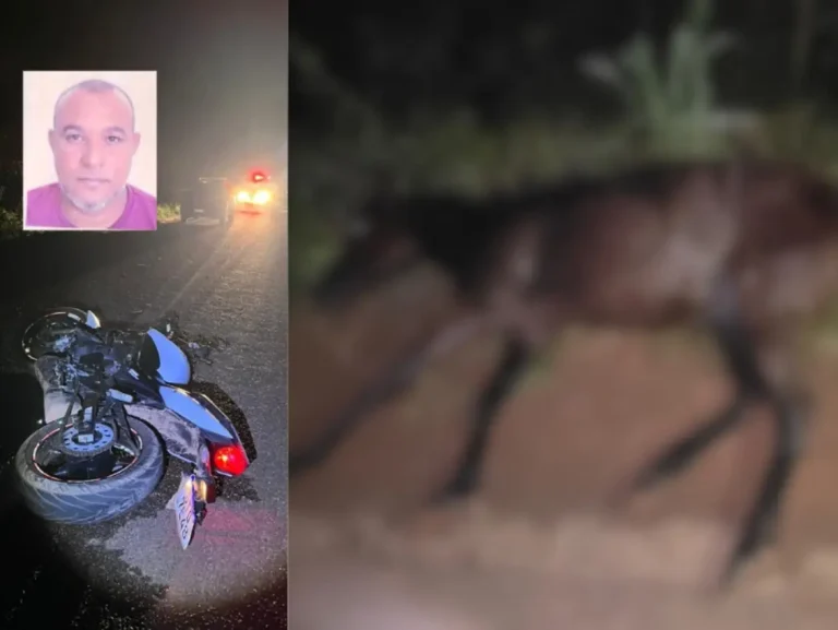 Motociclista morre em acidente com cavalo na PI-115 em José de Freitas