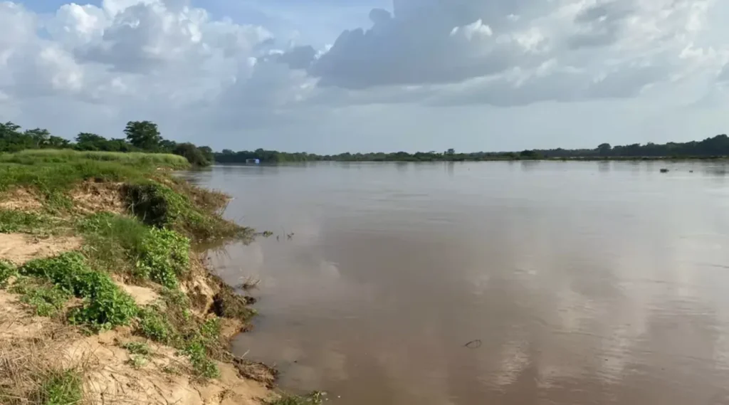 Jovem morre afogado no rio parnaíba: Rio barrento com margem erodida e vegetação