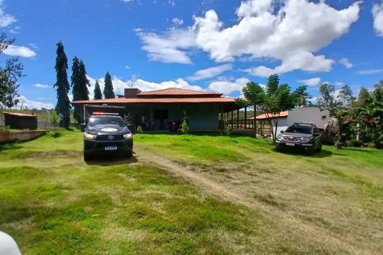 Idoso de 63 anos morre após ataque de abelhas durante caminhada na zona rural de Picos