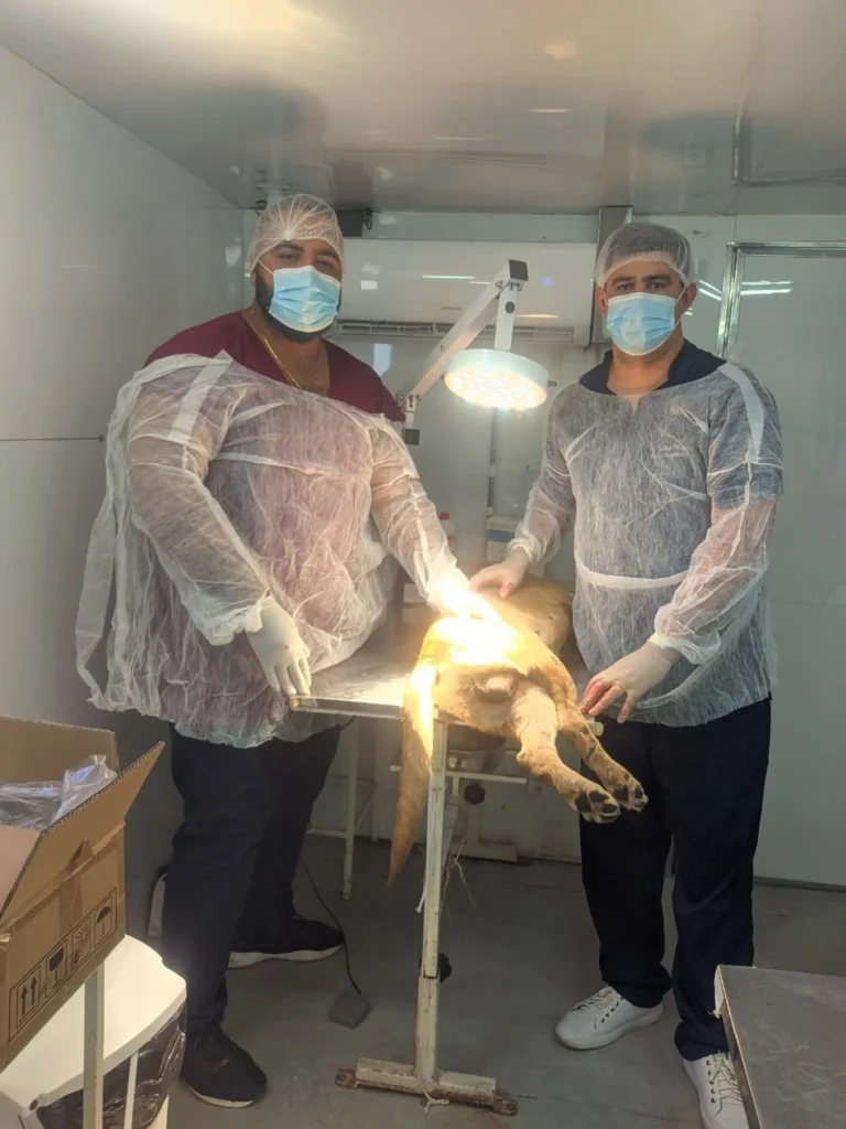 Mutirão pet seguro são francisco do maranhão: Pessoas com animais e unidade móvel de castração