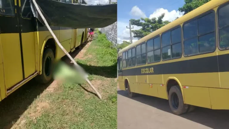 Mulher morre atropelada por ônibus escolar em União; motorista foge
