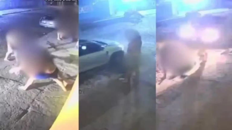 Trio agride e atropela homem no Bairro São Benedito; Polícia investiga tentativa de homicídio em Parnaíba