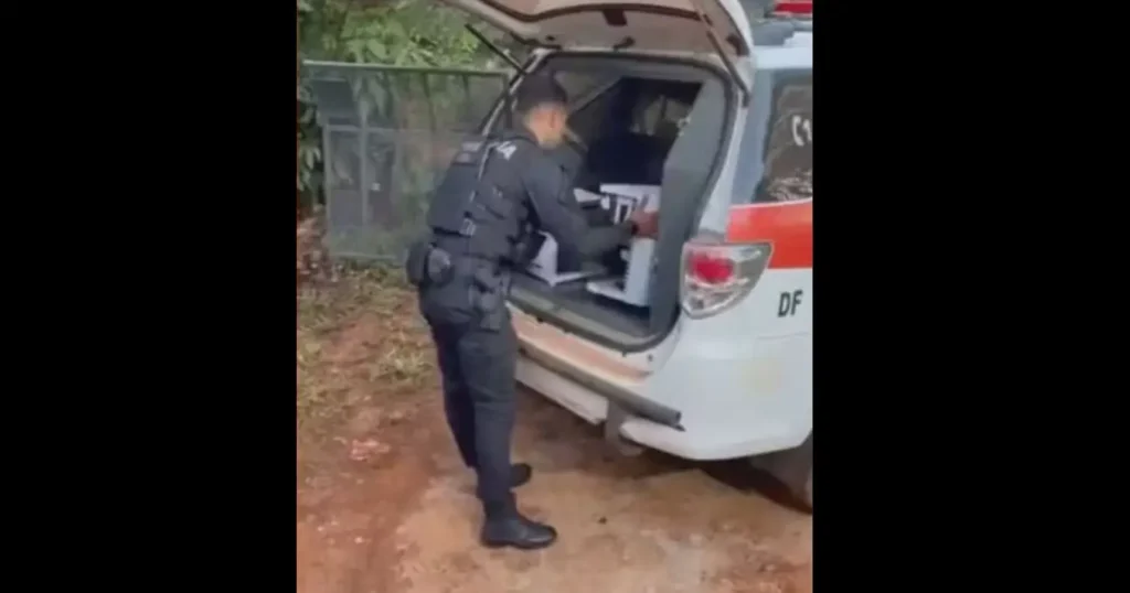 Polícia Civil investigando grupo suspeito de desviar R$ 11 milhões no jogo do tigrinho no DF e no Maranhão