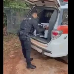 policia do distrito federal