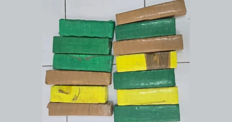 Teresinense é encontrado morto com tiros na cabeça e maconha em carro na BR-226