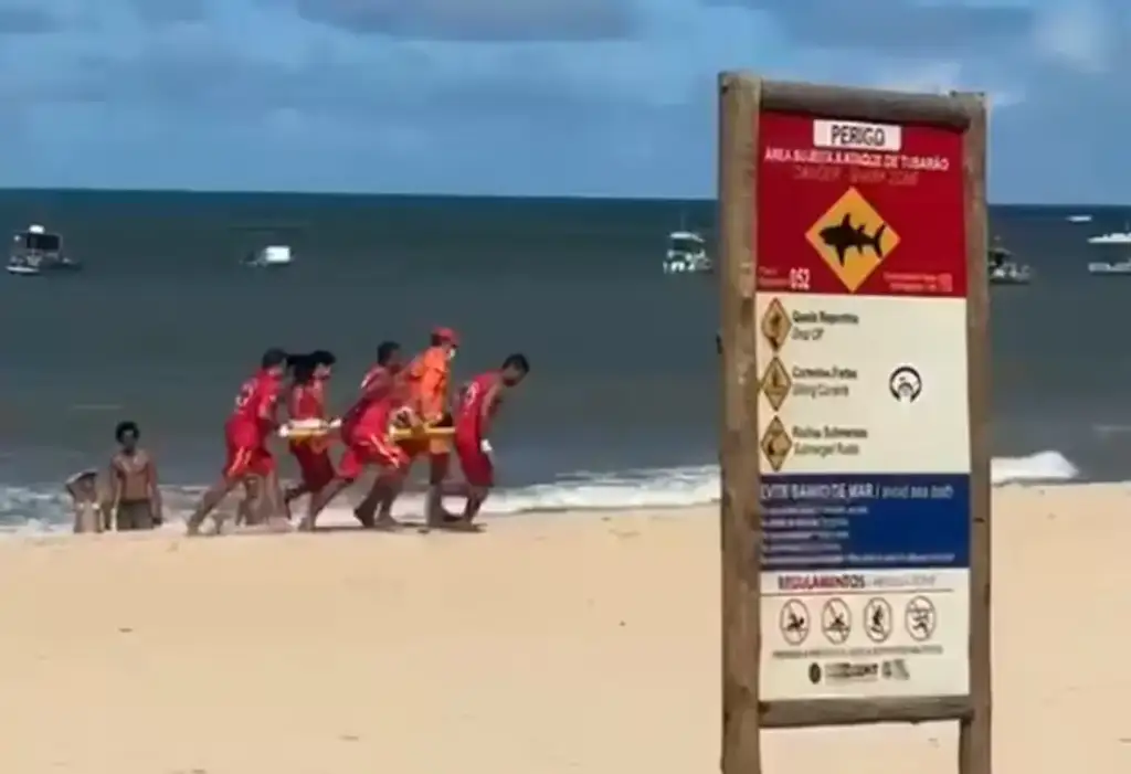 Ataque de tubarão em pernambuco: Salva-vidas carregam maca em praia com placa de tubarão