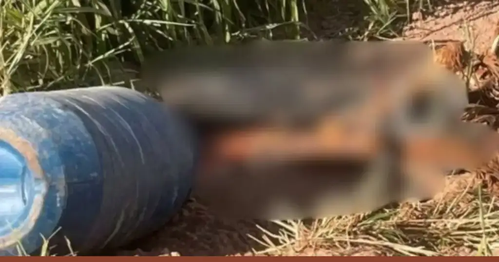 Corpo encontrado no chão ao lado de tambor azul