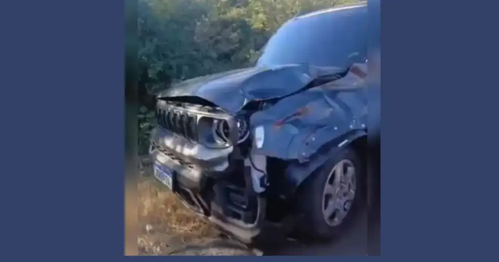 Carro bate em vacas na pi-143: Veículo danificado após colisão com vacas PI-143