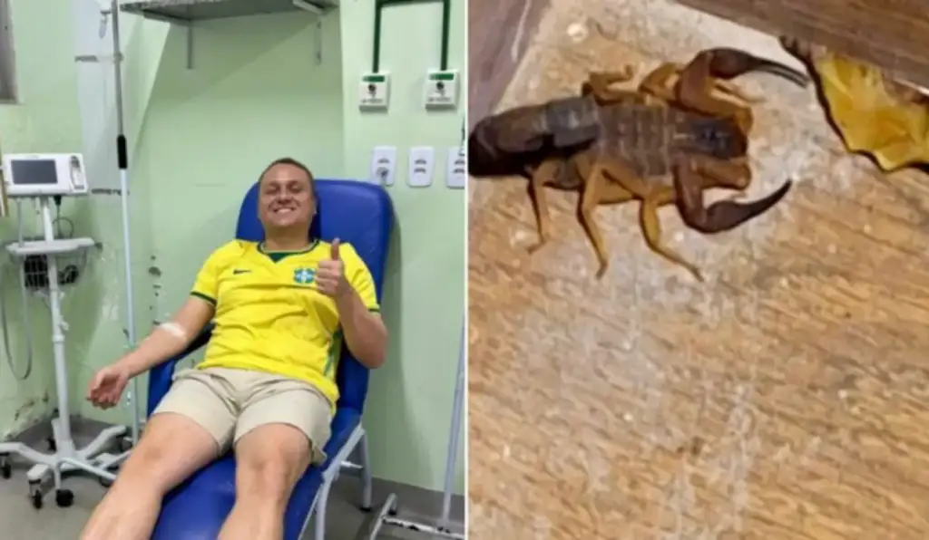 Vereador picado por escorpião em teresina: Vereador Venâncio Cardoso recebe atendimento após picada de escorpião