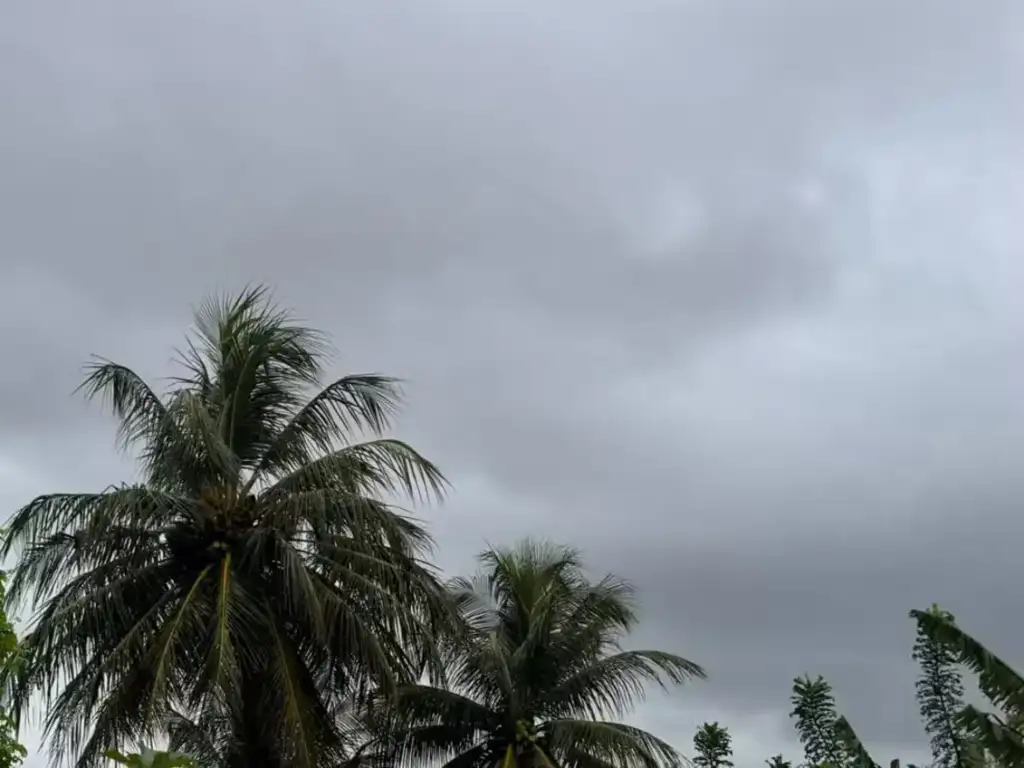 Queda de temperatura no sul do piauí: Céu nublado com nuvens escuras e coqueiros