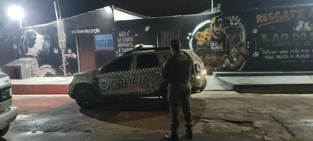 Homem preso por maus-tratos a cadela em teresina: Polícia Ambiental em Teresina após resgate de cadela agredida