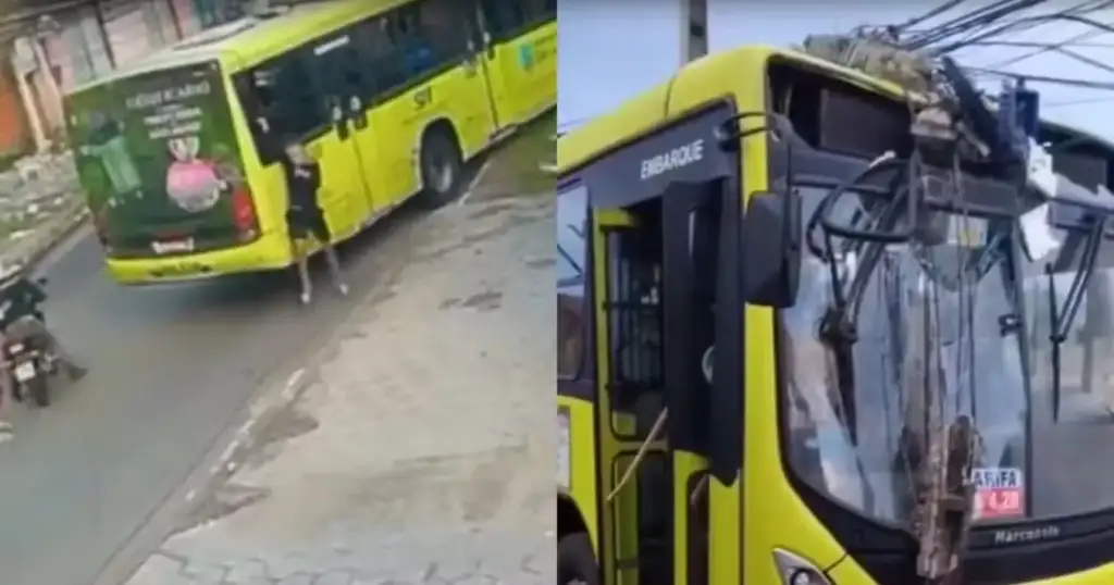 Assalto a ônibus termina em colisão em são luís: Ônibus assaltado colide com poste em São Luís