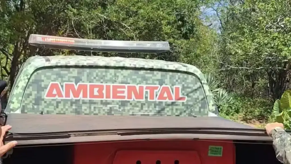 Suspeito de enforcar cachorro em josé de freitas: Polícia Ambiental em José de Freitas prende homem por maus-tratos